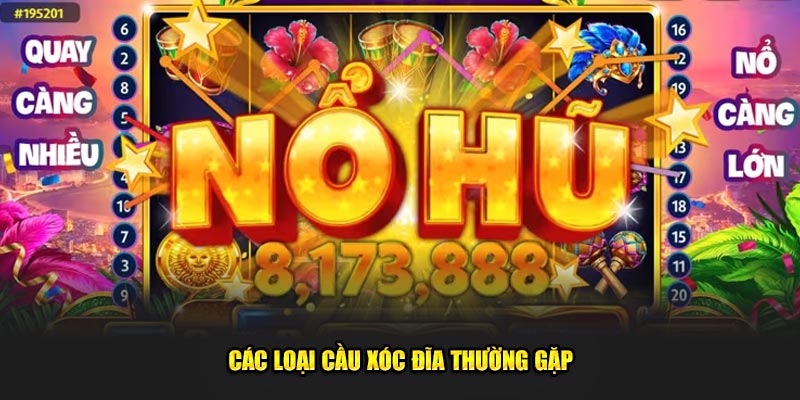 Cac-Loai-Cau-Xoc-Dia-Thuong-Gap