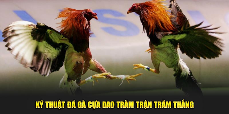 Ky-Thuat-Da-Ga-Cua-Dao-Tram-Tran-Tram-Thang